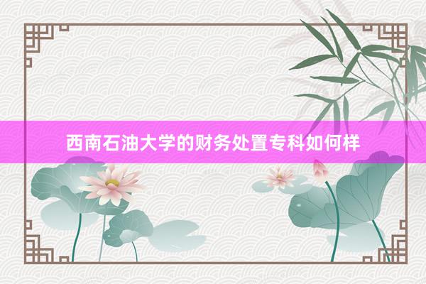 西南石油大学的财务处置专科如何样