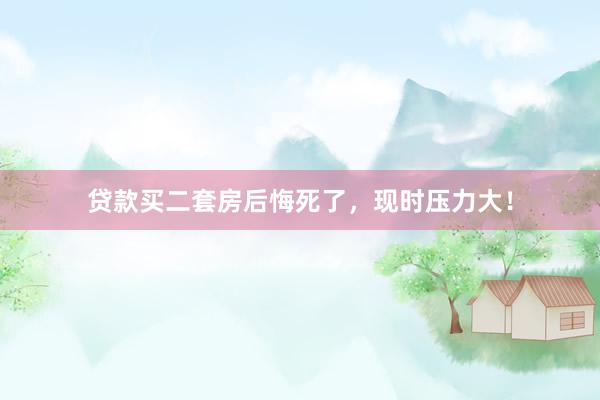贷款买二套房后悔死了，现时压力大！